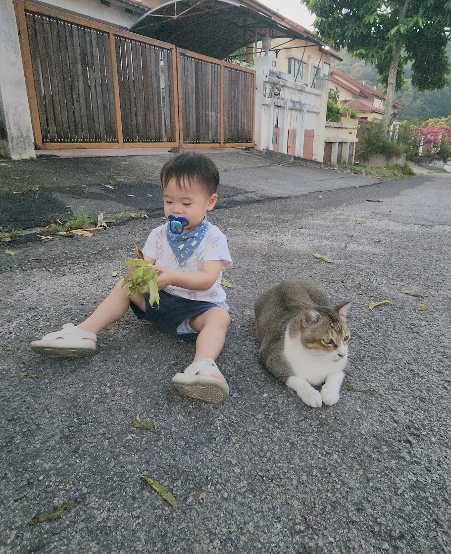 With Cat